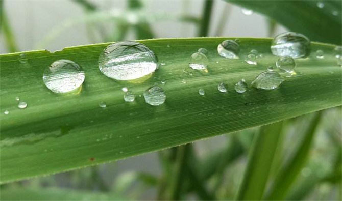 春風(fēng)十里，不如室內(nèi)這抹綠“迷醉”你！-別墅設(shè)計(jì),軟裝設(shè)計(jì),室內(nèi)設(shè)計(jì),豪宅設(shè)計(jì),深圳例外軟裝設(shè)計(jì)公司