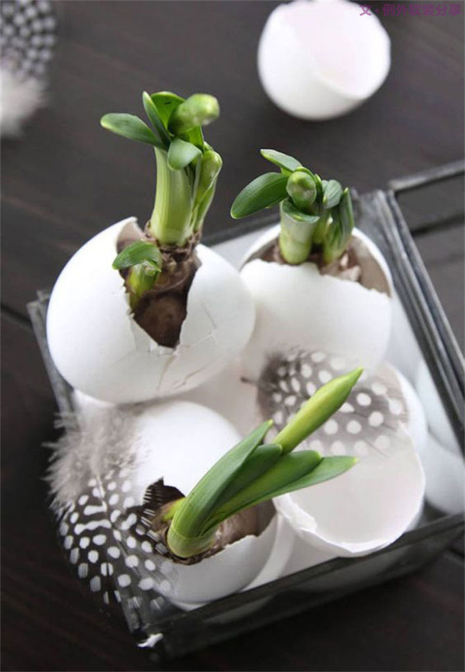“她”不小心打碎了雞蛋，結(jié)果美翻了整個(gè)家！-別墅設(shè)計(jì),軟裝設(shè)計(jì),室內(nèi)設(shè)計(jì),豪宅設(shè)計(jì),深圳例外軟裝設(shè)計(jì)公司