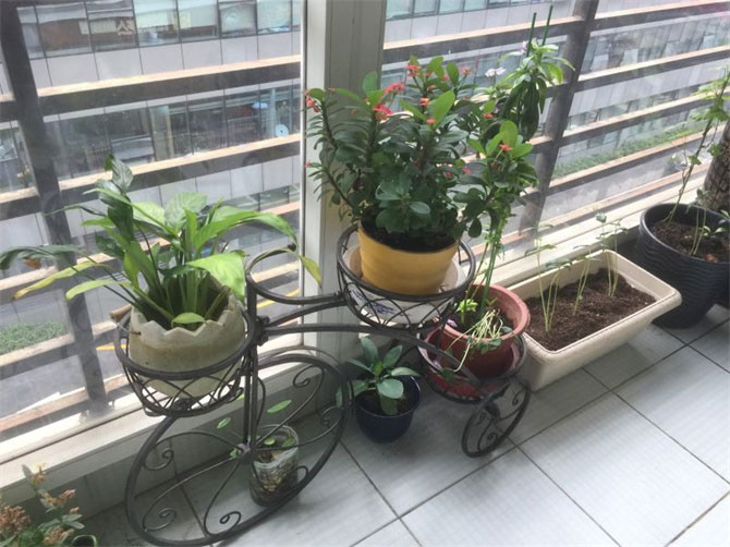 CCTV2《交換空間》收官之作--48小時，教你打造專屬的“秘密花園”-別墅設計,軟裝設計,室內(nèi)設計,豪宅設計,深圳例外軟裝設計公司