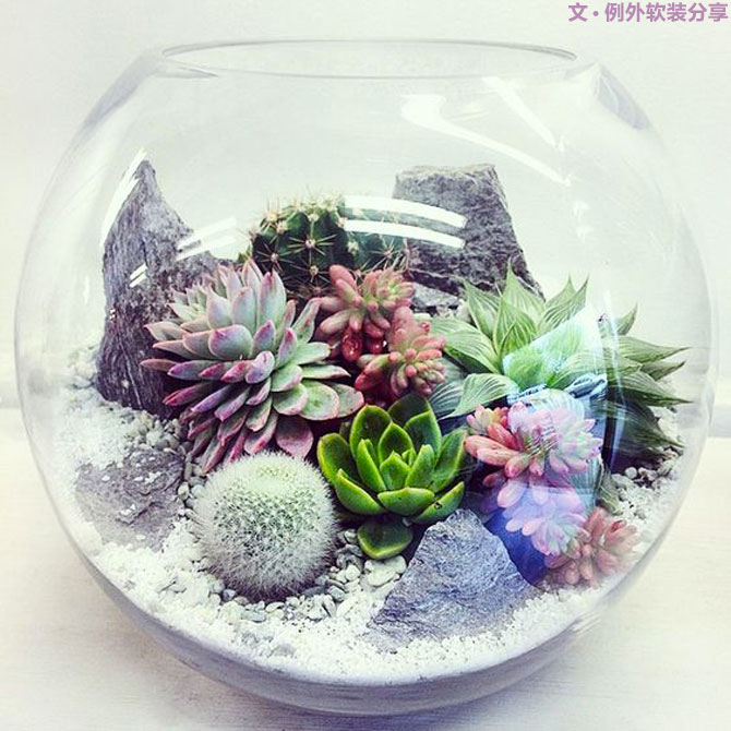 地球人都得了一種，看見“她”就想抱回家養(yǎng)的??！-別墅設(shè)計(jì),軟裝設(shè)計(jì),室內(nèi)設(shè)計(jì),豪宅設(shè)計(jì),深圳例外軟裝設(shè)計(jì)公司