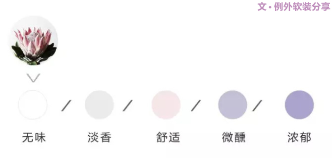 【例外·花箋記】沒有哪個姑娘能拒絕這樣一支奇葩！-別墅設(shè)計,軟裝設(shè)計,室內(nèi)設(shè)計,豪宅設(shè)計,深圳例外軟裝設(shè)計公司