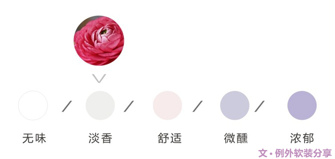 【例外·花箋記】洋牡丹，花叢中的人氣精靈-別墅設(shè)計(jì),軟裝設(shè)計(jì),室內(nèi)設(shè)計(jì),豪宅設(shè)計(jì),深圳例外軟裝設(shè)計(jì)公司