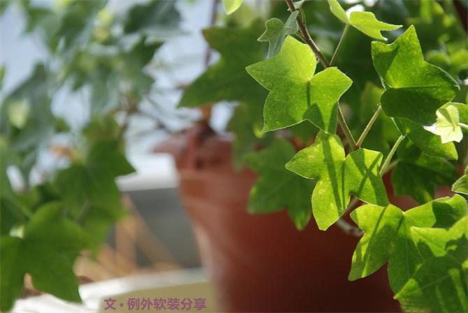 新房子裝修甲醛從哪里來(lái)？-別墅設(shè)計(jì),軟裝設(shè)計(jì),室內(nèi)設(shè)計(jì),豪宅設(shè)計(jì),深圳例外軟裝設(shè)計(jì)公司