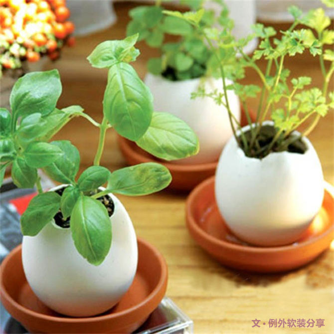 對于舊物家居設(shè)計師這樣用，給家添一抹生機！-別墅設(shè)計,軟裝設(shè)計,室內(nèi)設(shè)計,豪宅設(shè)計,深圳例外軟裝設(shè)計公司