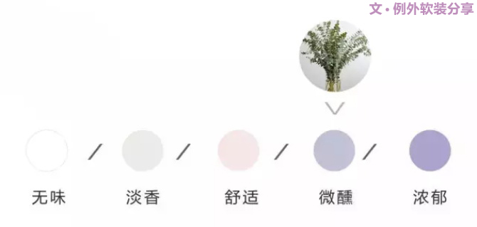 【例外.花箋記】尤加利，花藝界的百搭神葉-別墅設計,軟裝設計,室內(nèi)設計,豪宅設計,深圳例外軟裝設計公司